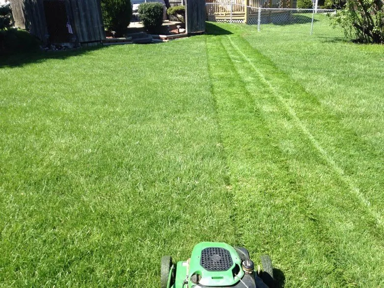 Expert landscape installation in Hamilton, OH by Trinity Lawn Care