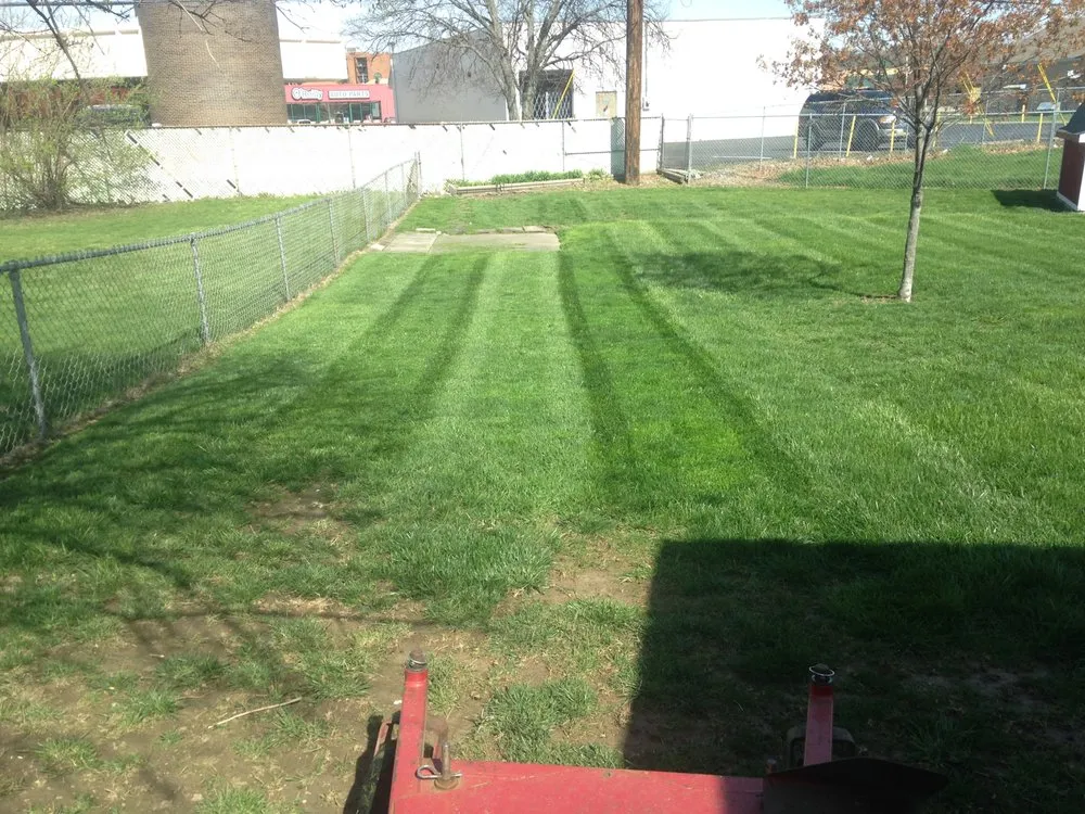 Local yard maintenance for beautiful yards in Hamilton, OH by Trinity Lawn Care