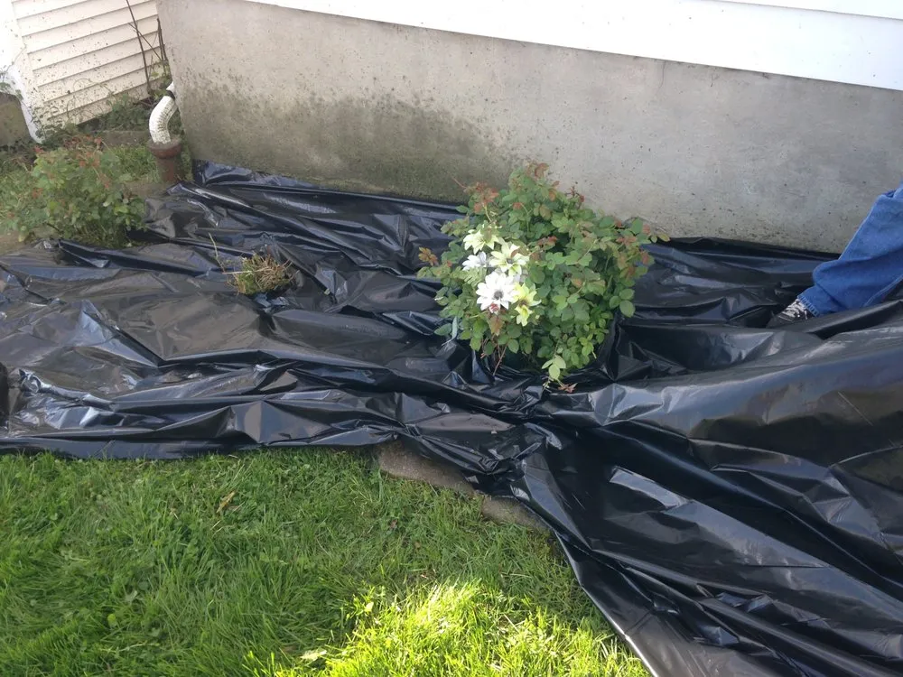 Expert lawn mowing service in Hamilton, OH - Trinity Lawn Care