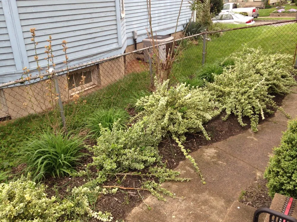 Top-rated lawn care service experts serving Hamilton, OH - Trinity Lawn Care