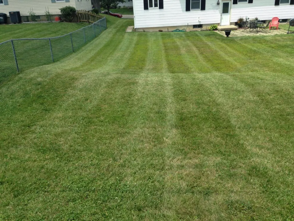 Top-rated lawn care service experts serving Hamilton, OH - Trinity Lawn Care