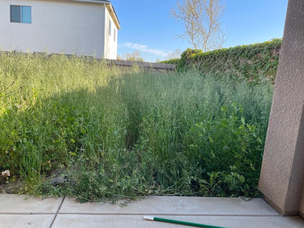 Affordable residential landscaping in Kerman, CA - TRINITY LAWN CARE