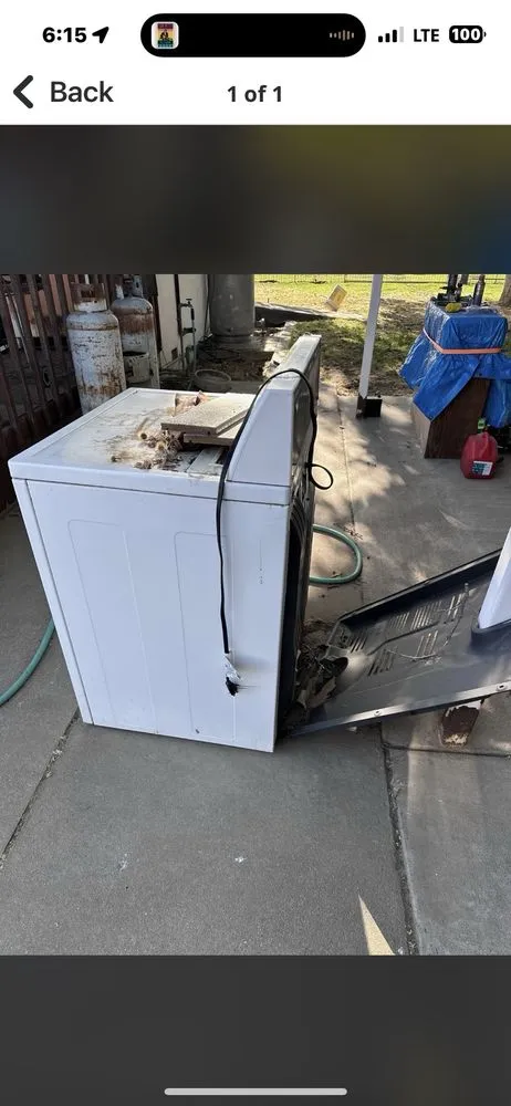 Trusted yard cleanup service experts serving Kerman, CA - TRINITY LAWN CARE