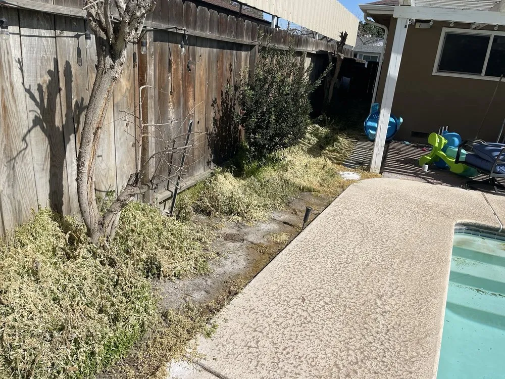 Custom lawn mowing service experts serving Kerman, CA - TRINITY LAWN CARE