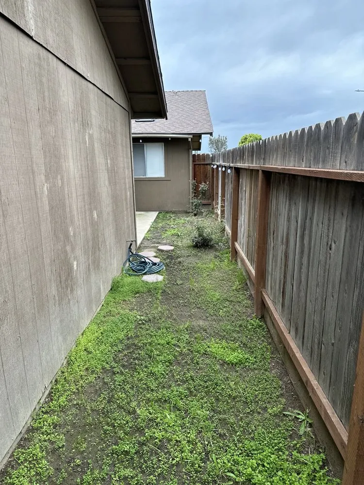 Trusted yard cleanup service experts serving Kerman, CA - TRINITY LAWN CARE