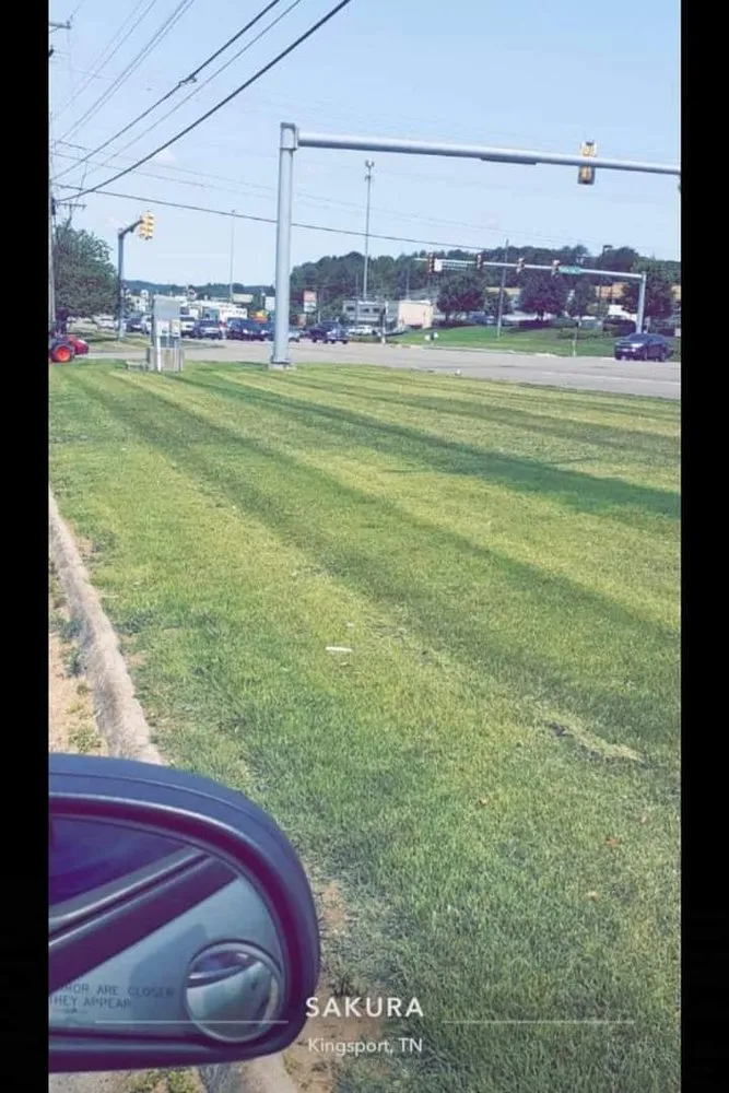 Reliable yard cleanup service for year-round maintenance in Kingsport, TN by Trinity lawn care