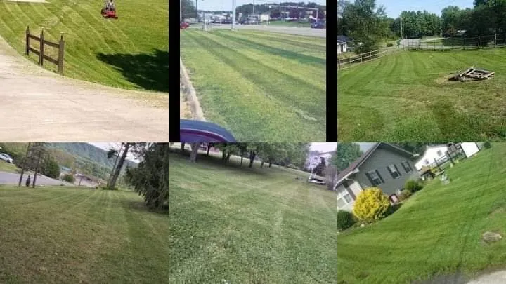 Local yard cleanup service for outdoor upgrades in Kingsport, TN by Trinity lawn care