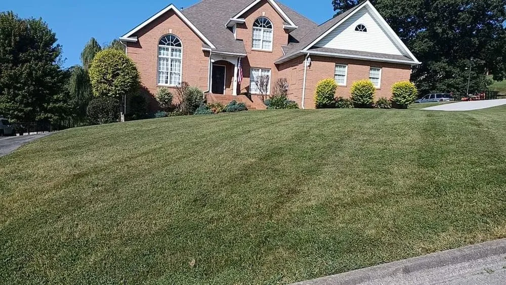 Custom yard maintenance in Kingsport, TN - Trinity lawn care