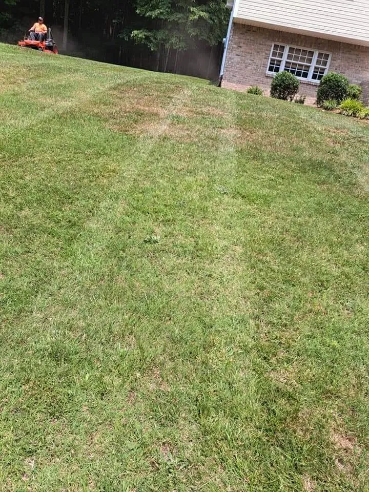 Professional lawn care service for homes in Kingsport, TN by Trinity lawn care