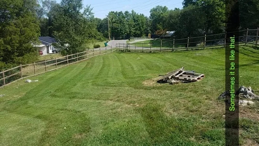 Trusted yard cleanup service in Kingsport, TN - Trinity lawn care