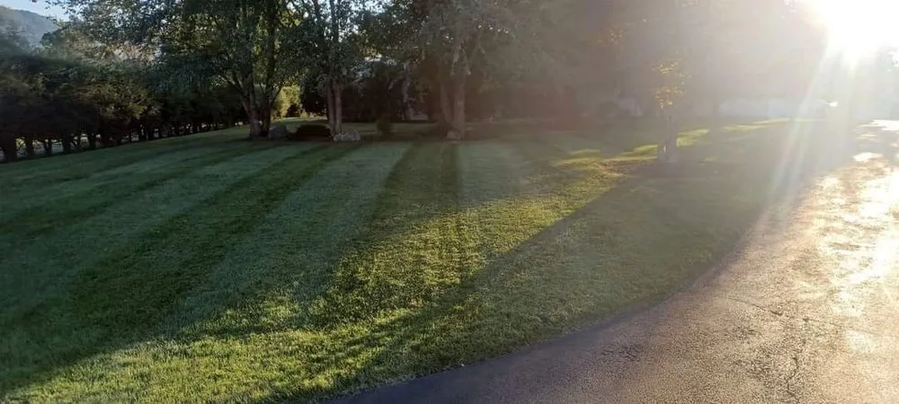 Professional yard maintenance experts serving Kingsport, TN - Trinity lawn care