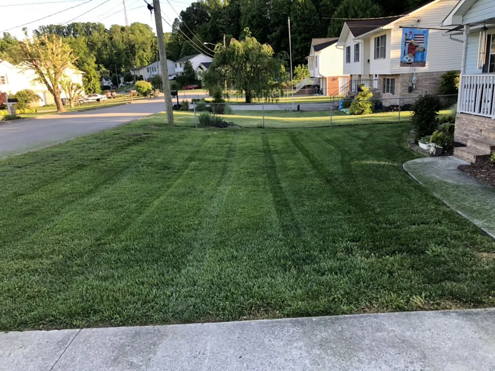 Expert lawn mowing service in Kingsport, TN - Trinity Lawn Care