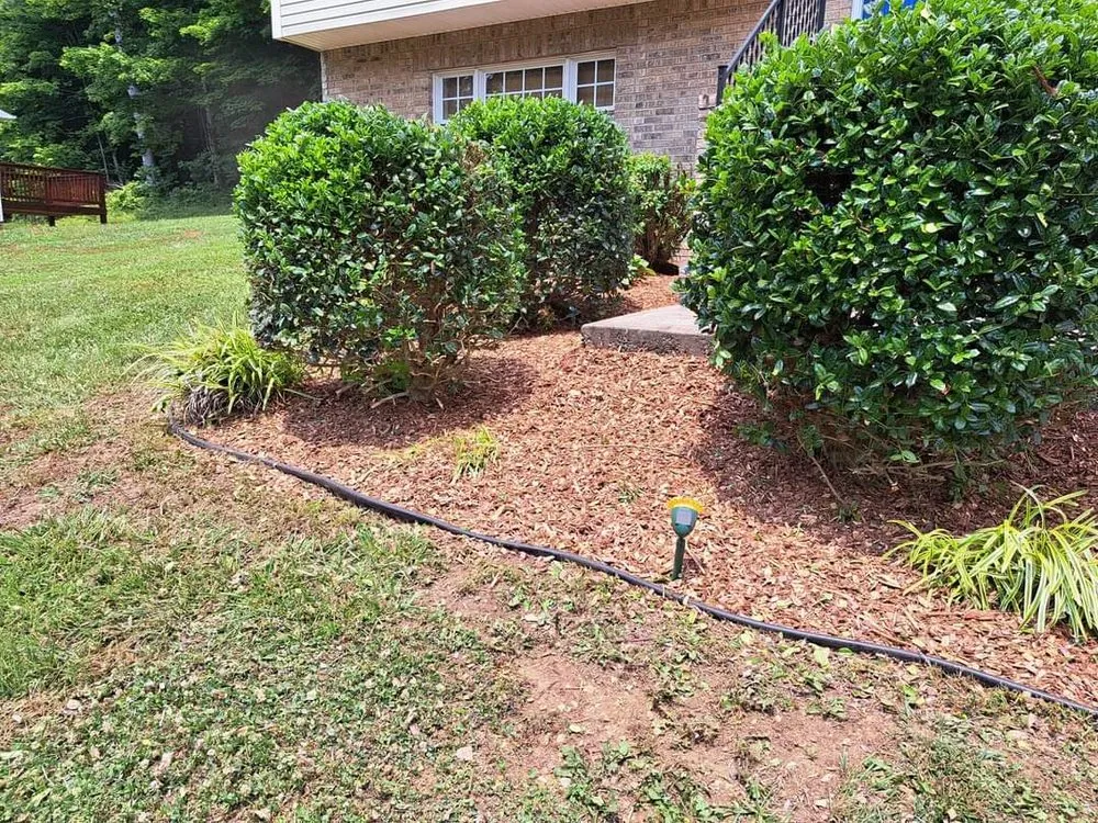 Professional outdoor landscaping for homes in Kingsport, TN by Trinity lawn care