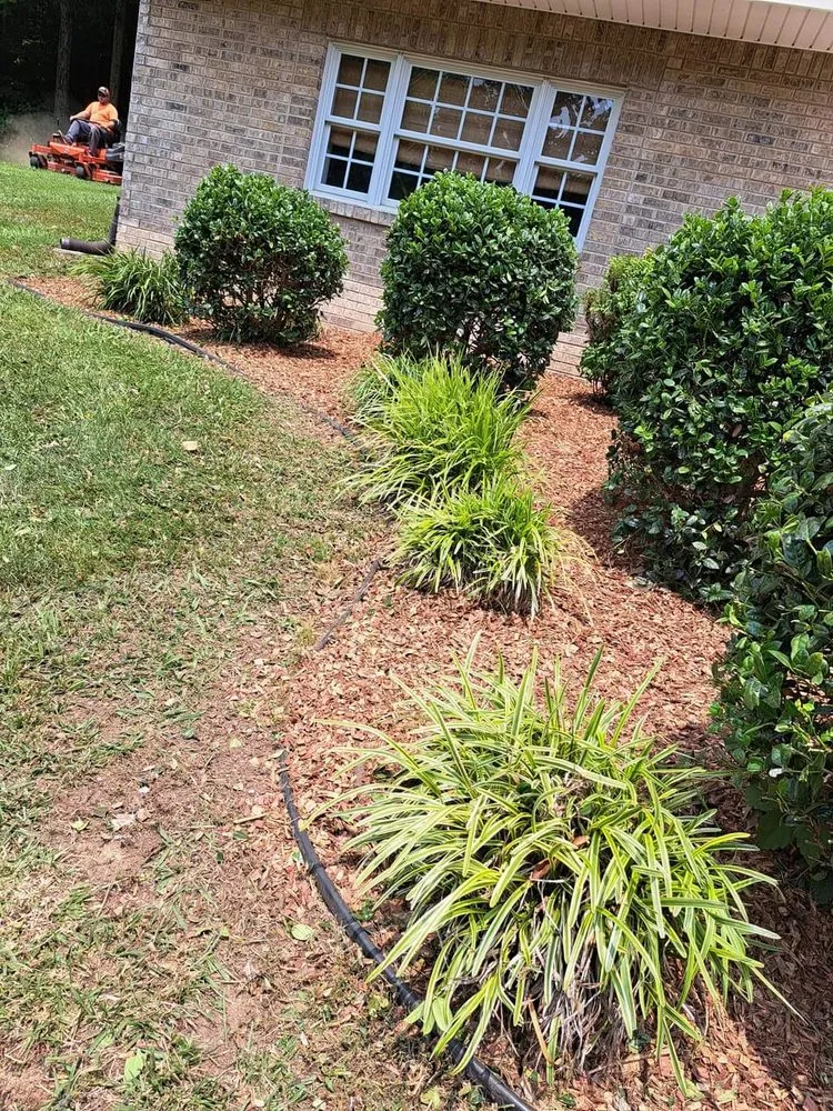 Expert garden landscaping in Kingsport, TN by Trinity lawn care