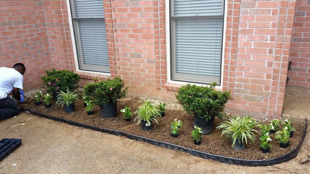 Affordable lawn care service experts serving Memphis, TN - Trinity Lawn Care