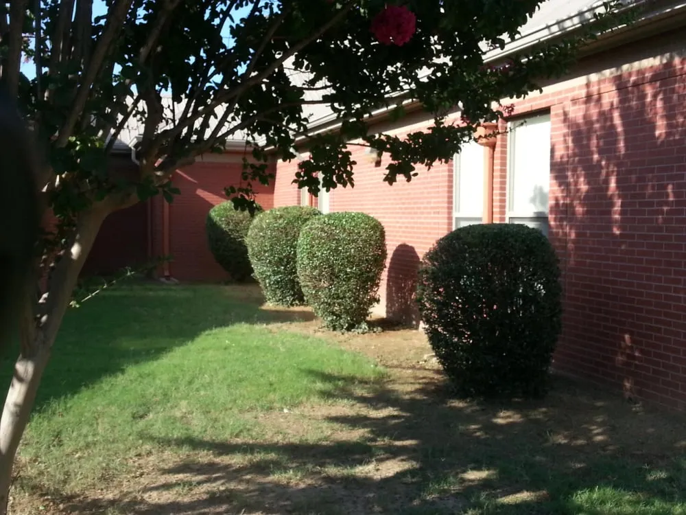 Trusted landscape installation in Memphis, TN - Trinity Lawn Care