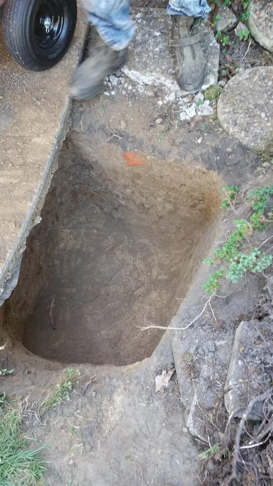 Professional lawn mowing service in Memphis, TN - Trinity Lawn Care