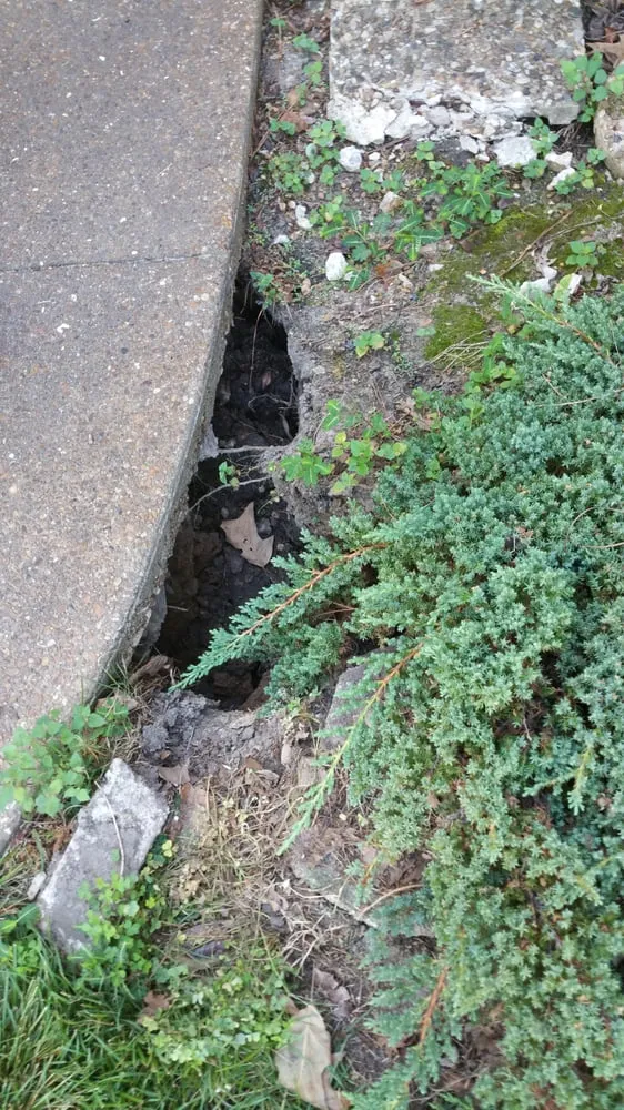 Top-rated yard cleanup service near you across Memphis, TN - Trinity Lawn Care