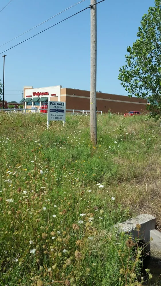 Local lawn care service in Memphis, TN by Trinity Lawn Care