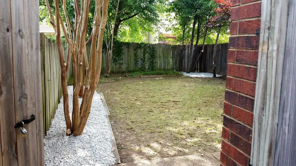 Professional lawn mowing service experts serving Memphis, TN - Trinity Lawn Care