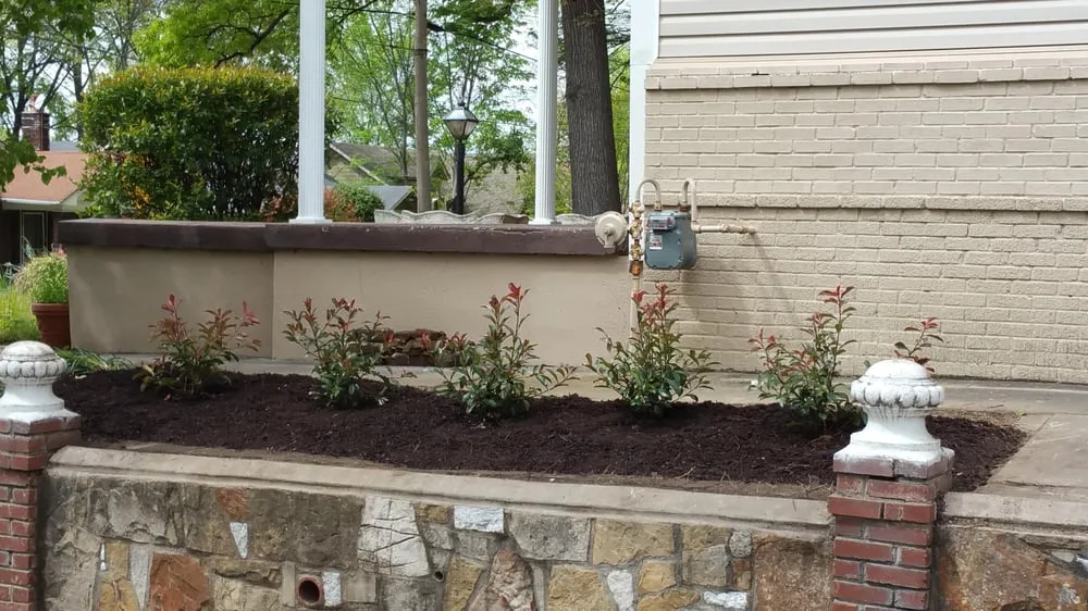 Top-rated landscaping services near you across Memphis, TN - Trinity Lawn Care