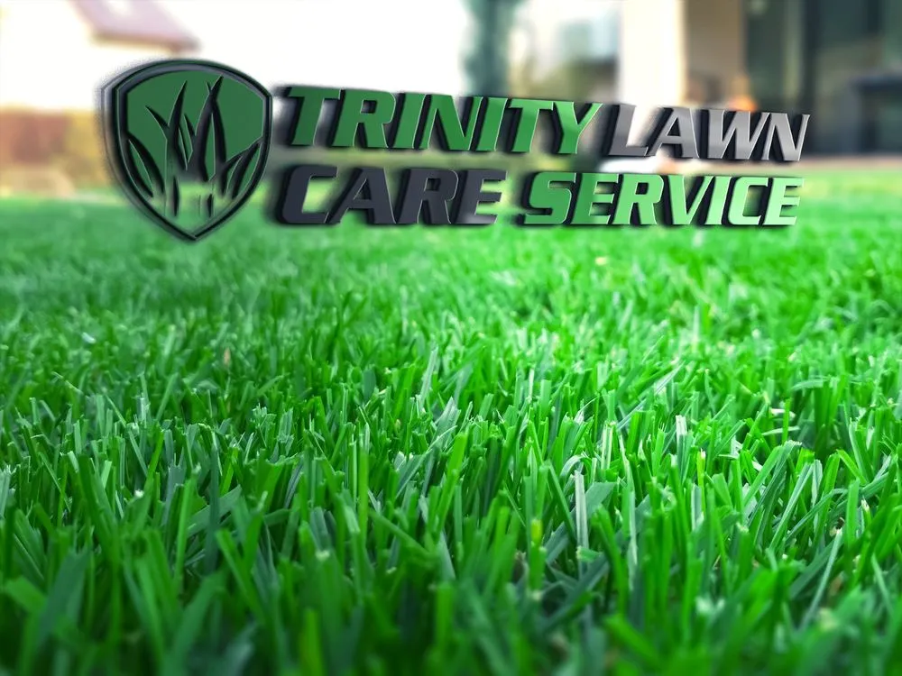 Professional landscaping services in Washington Court House, OH - Trinity Lawn Care Service