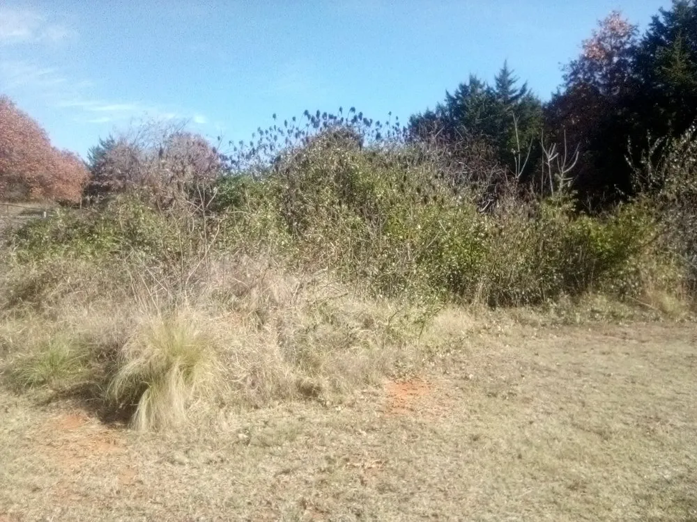 Local yard maintenance in Oklahoma City, OK by Trinity Lawns Landscaping and Tree Service