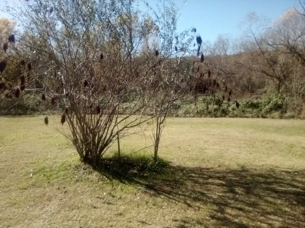 Custom landscape design for homes across Oklahoma City, OK - Trinity Lawns Landscaping and Tree Service