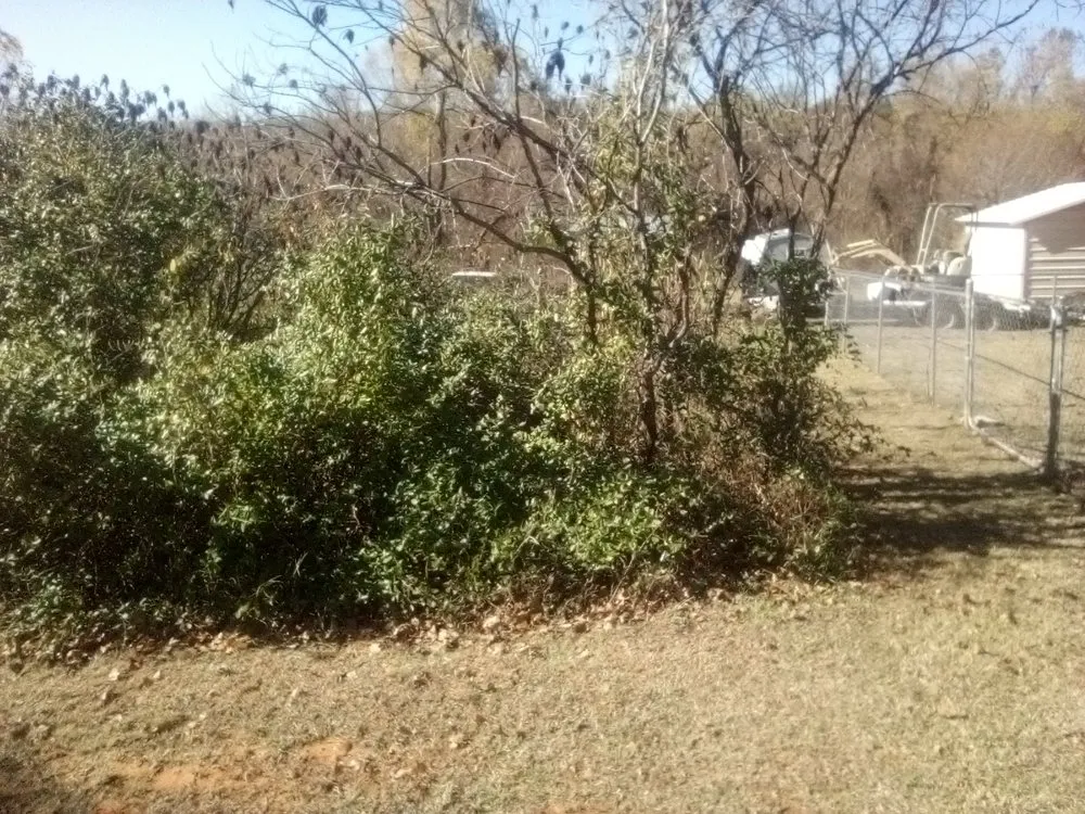 Top-rated residential landscaping with custom design in Oklahoma City, OK by Trinity Lawns Landscaping and Tree Service