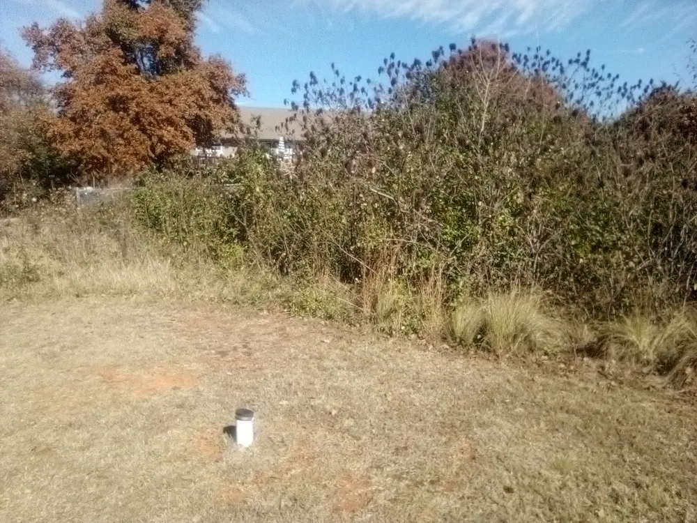 Top-rated lawn care service for beautiful yards across Oklahoma City, OK - Trinity Lawns Landscaping and Tree Service