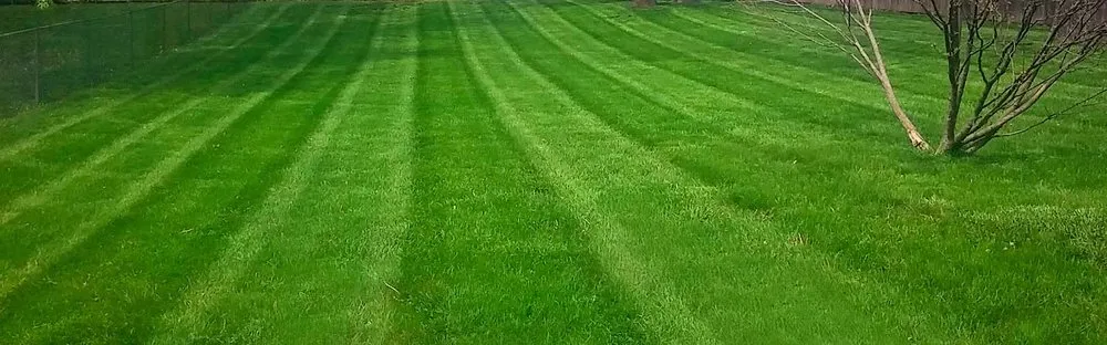 Affordable yard cleanup service experts serving Plainfield, IN - Trinity Lawns