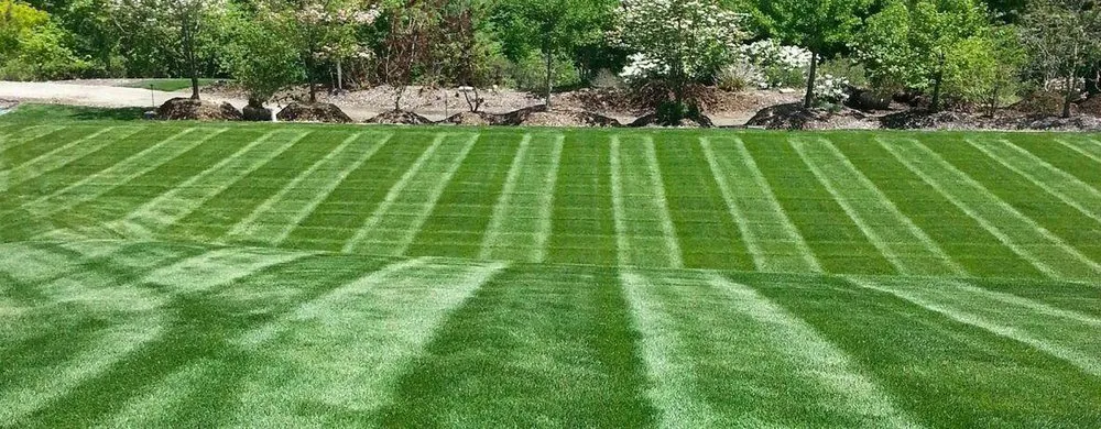 Top-rated landscape installation with custom design across Plainfield, IN - Trinity Lawns