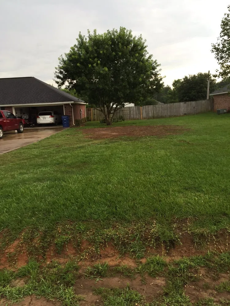 Affordable yard cleanup service for outdoor upgrades across Nacogdoches, TX - Trinity LPM