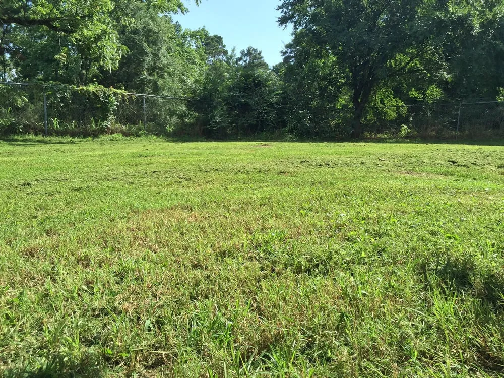 Trusted landscape installation for residential properties in Nacogdoches, TX by Trinity LPM