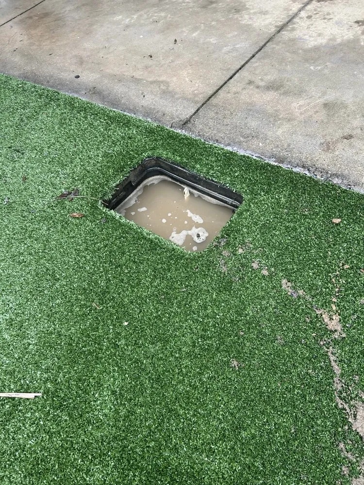 Local landscape design for year-round maintenance in Tallahassee, FL by Trinity Maintenance and Landscaping Consultants