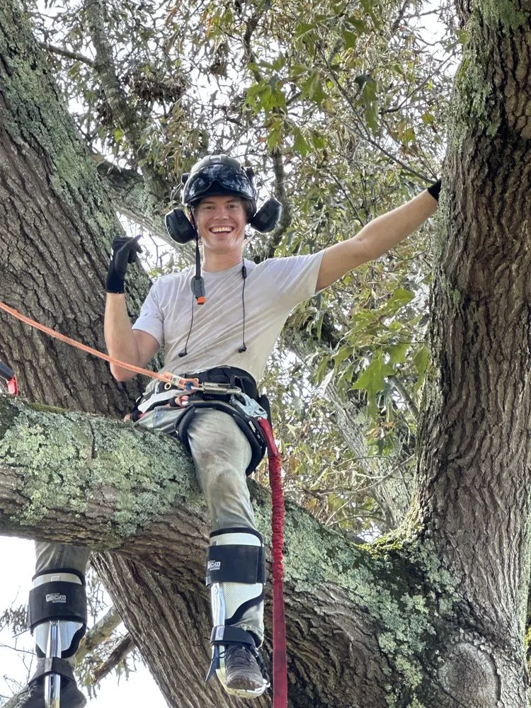 Local yard maintenance for year-round maintenance in Harrisburg, NC by Trinity Outdoor Services