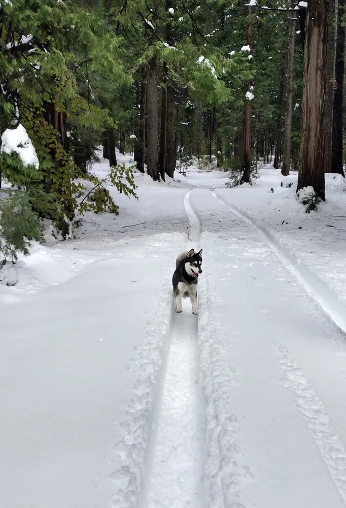Top-rated residential landscaping with custom design across Grass Valley, CA - Trinity Property Maintenance
