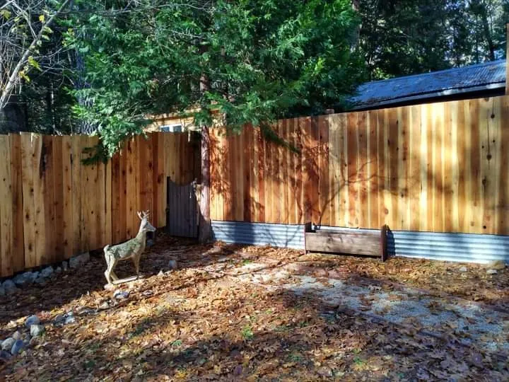 Top-rated yard cleanup service for year-round maintenance in Grass Valley, CA by Trinity Property Maintenance