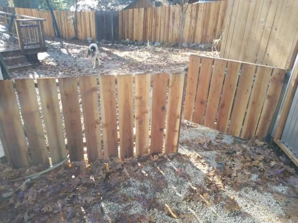 Custom yard maintenance for year-round maintenance in Grass Valley, CA by Trinity Property Maintenance