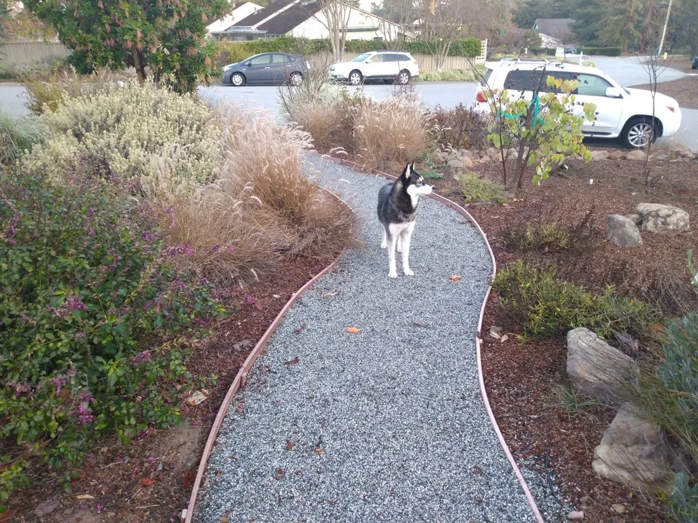 Professional yard cleanup service in Grass Valley, CA by Trinity Property Maintenance