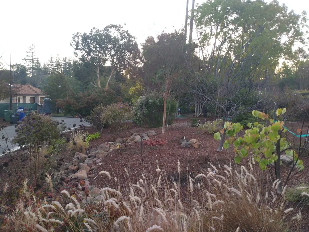 Trusted outdoor landscaping in Grass Valley, CA by Trinity Property Maintenance