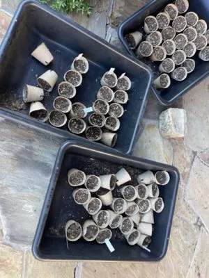 Trinity River Lawn Care & Landscaping