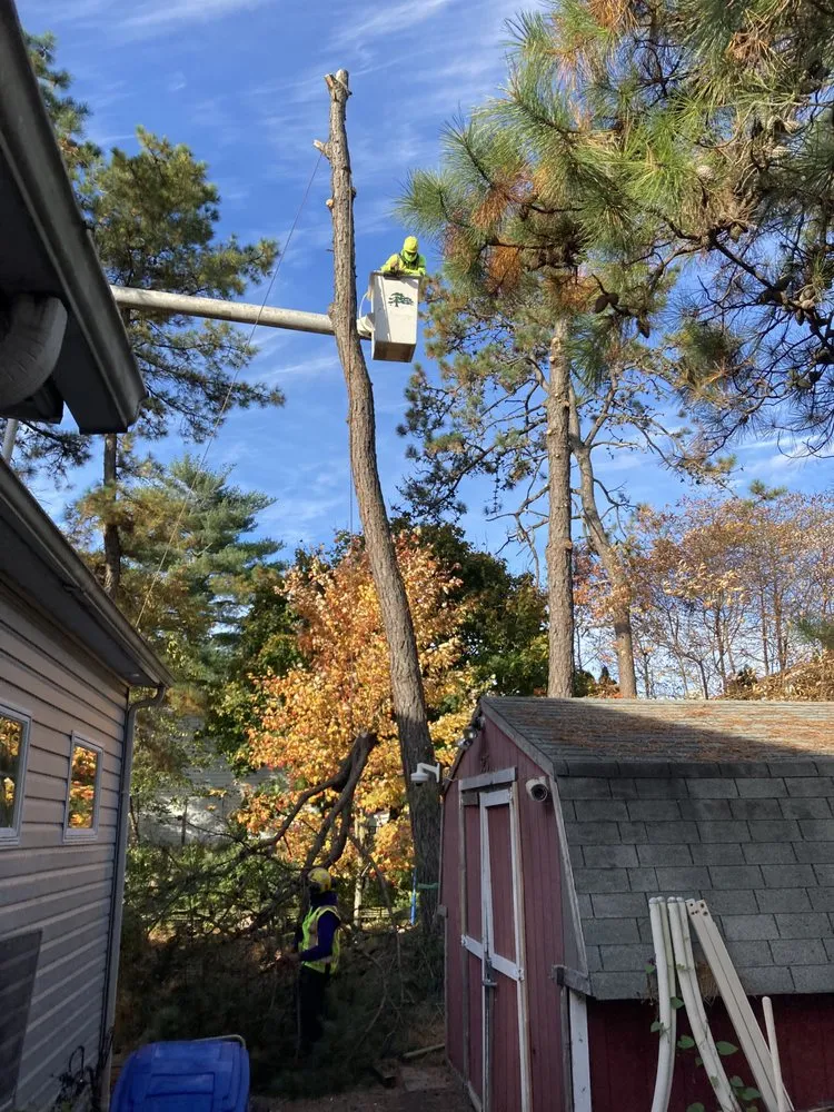 Expert lawn care service experts serving Toms River, NJ - Trinity Tree Experts & Landscaping