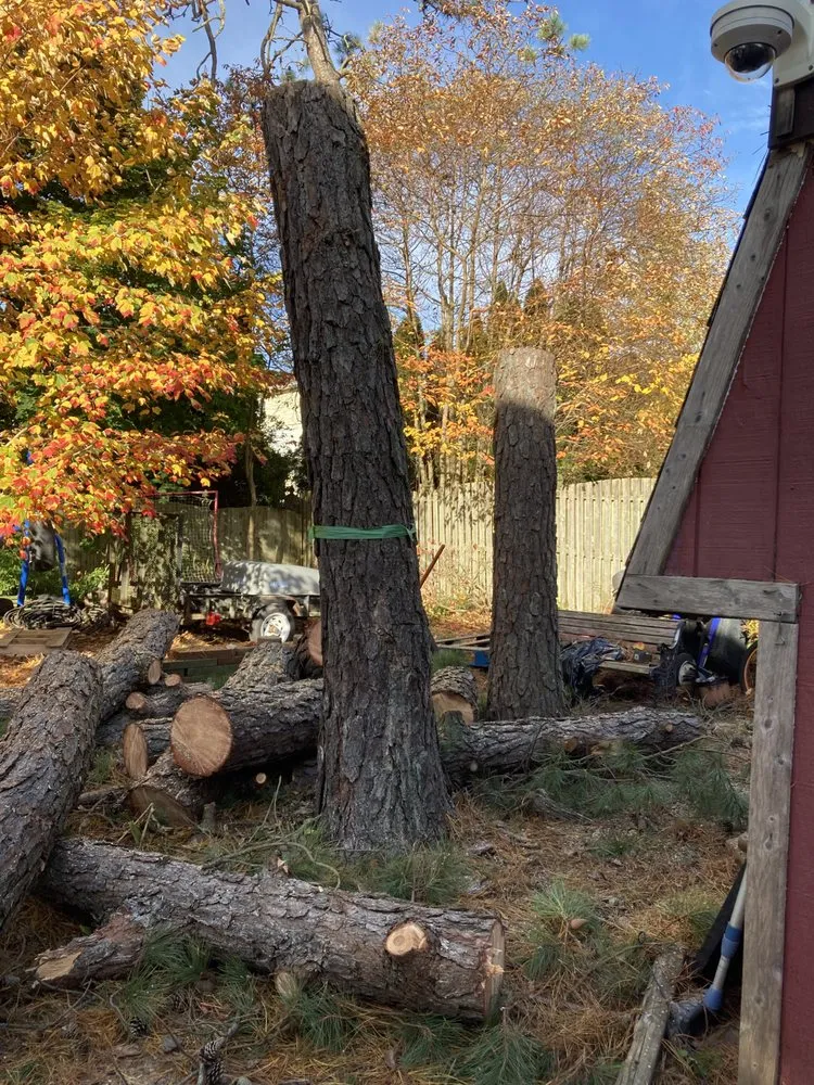 Trusted garden landscaping experts serving Toms River, NJ - Trinity Tree Experts & Landscaping