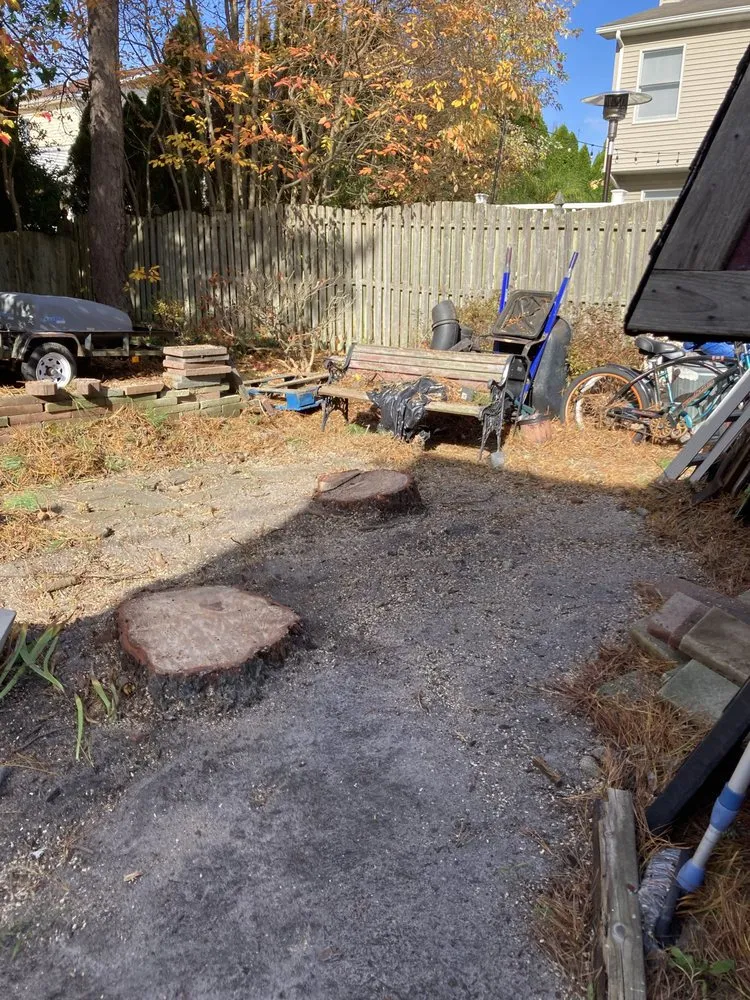 Expert lawn care service in Toms River, NJ by Trinity Tree Experts & Landscaping