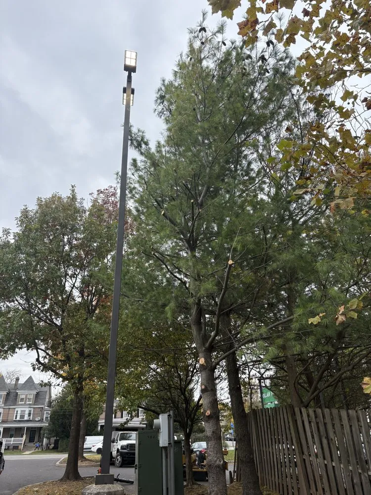 Expert landscaping services in Levittown, PA by Trinity Tree Service