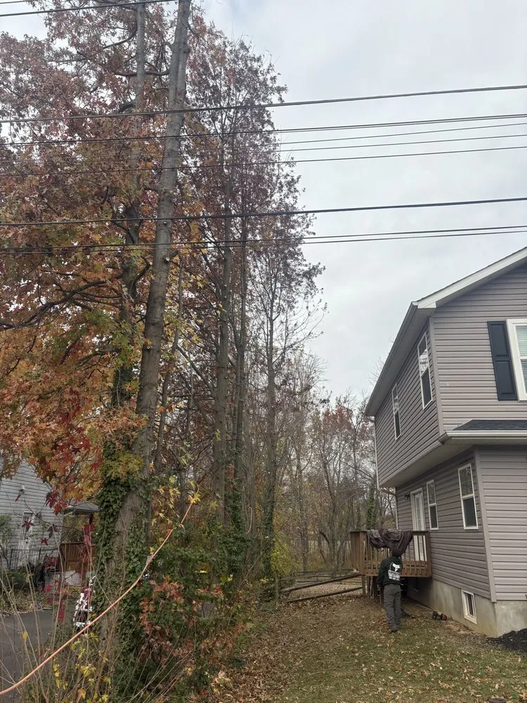 Trusted outdoor landscaping experts serving Levittown, PA - Trinity Tree Service