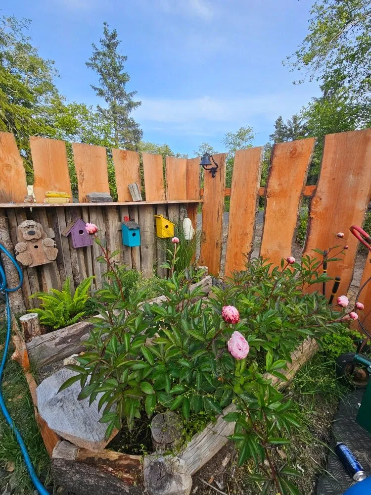 Expert outdoor landscaping for outdoor upgrades in Ocean Park, WA by Trio Construction