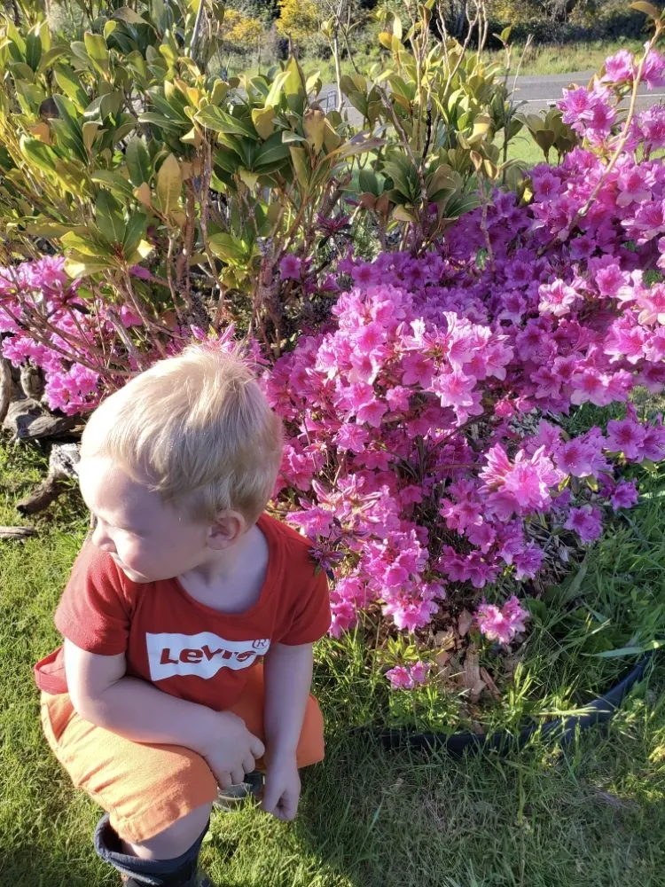 Custom landscaping services experts serving Ocean Park, WA - Trio Construction