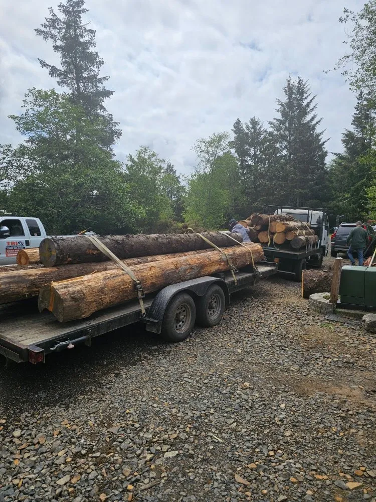 Reliable landscaping services for beautiful yards across Ocean Park, WA - Trio Construction